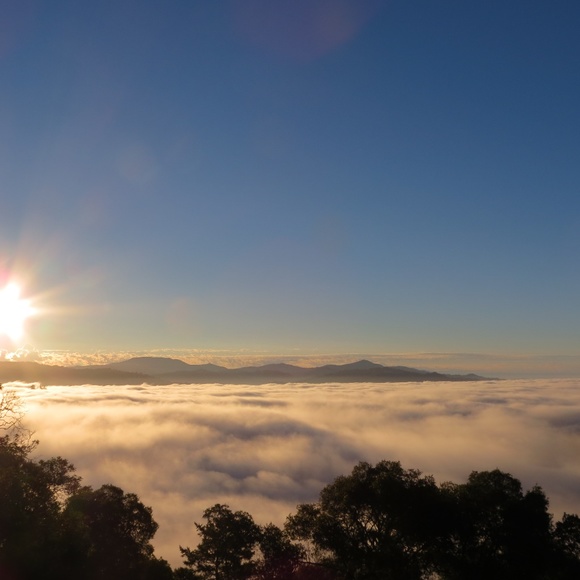 Meet your Posher, Mary - Picture 5 of 5